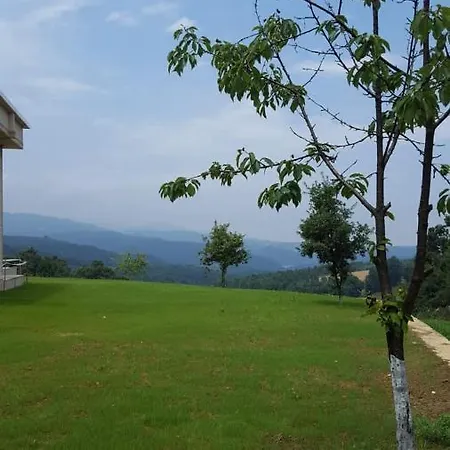 In Nature *
